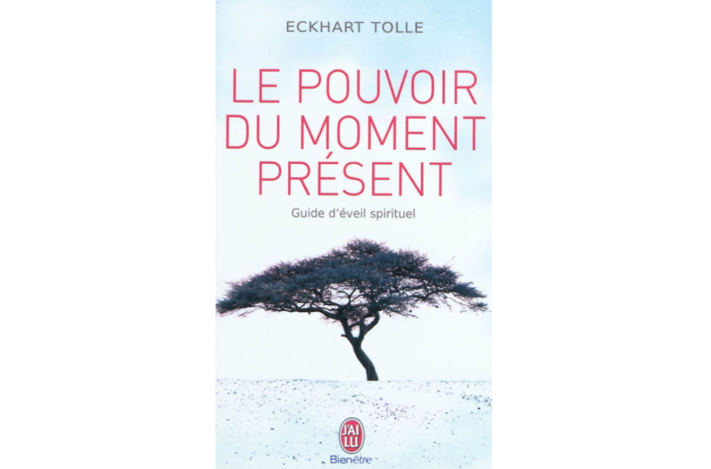 livre le pouvoir du moment présent